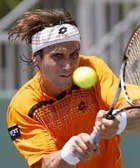 David Ferrer